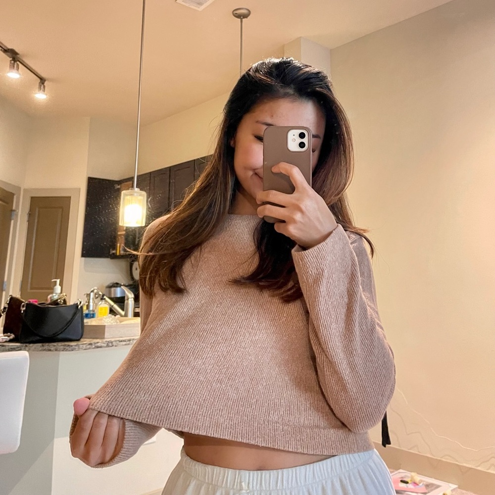 Zara Tan Sweater